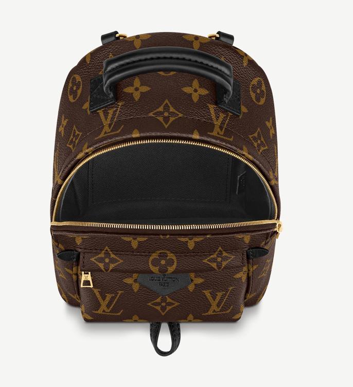 Brown LV Monogram Mini Backpack